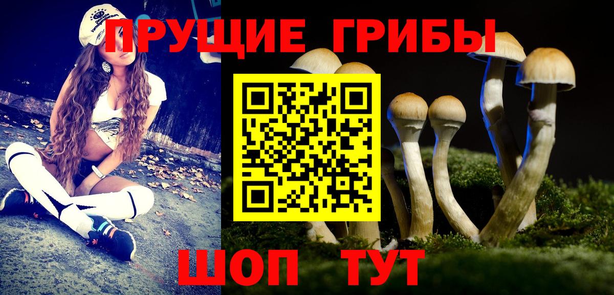 Псилоцибиновые грибы MAGIC MUSHROOMS Тулун