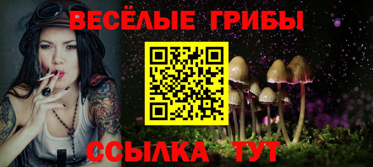 Галлюциногенные грибы MAGIC MUSHROOMS  где продают   Тулун 