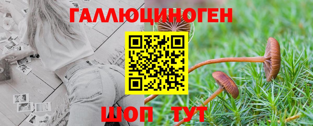 Псилоцибиновые грибы MAGIC MUSHROOMS  Псилоцибиновые грибы MAGIC MUSHROOMS  Тулун  Вход с VPN 